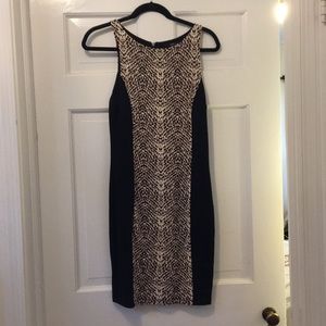 NWT Sheath Dress